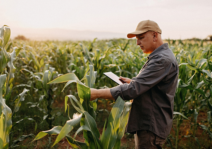 Kansas Farm Insurance Banner Image